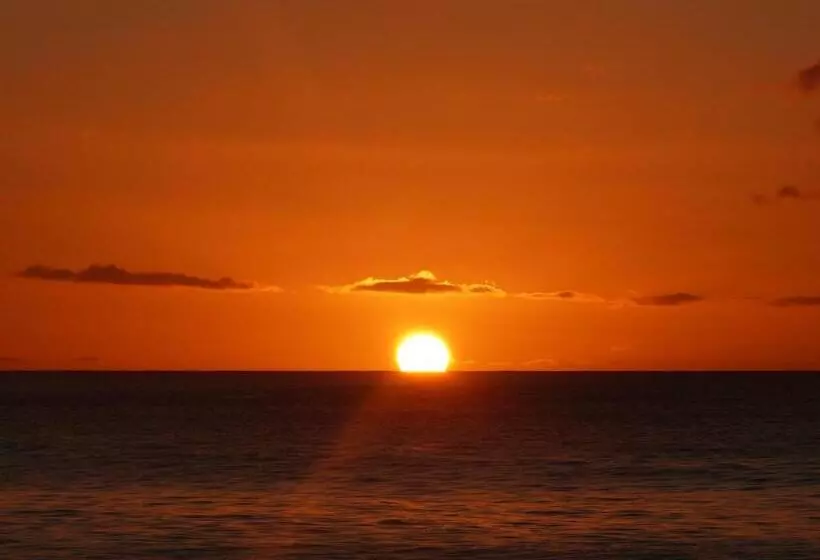 تختخواب و صبحانه Gites Rose Des Vents