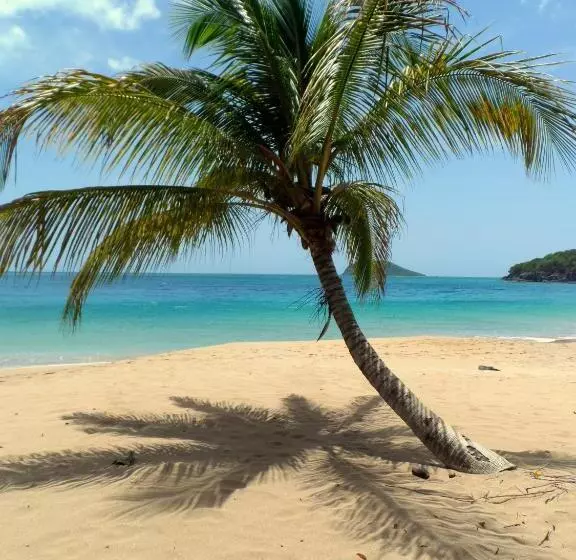 تختخواب و صبحانه Gites Rose Des Vents