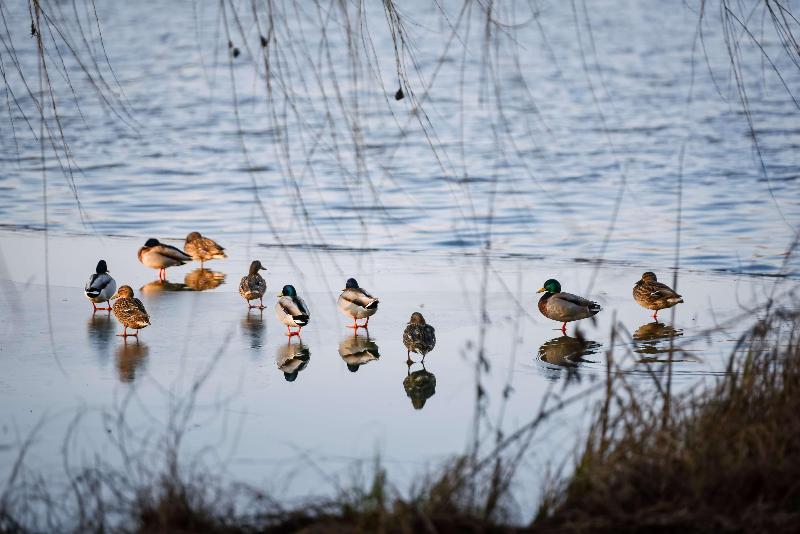 فندق Best Western Plus Lakeside