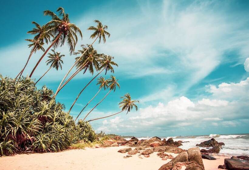 בית מלון כפרי Bougainvilla