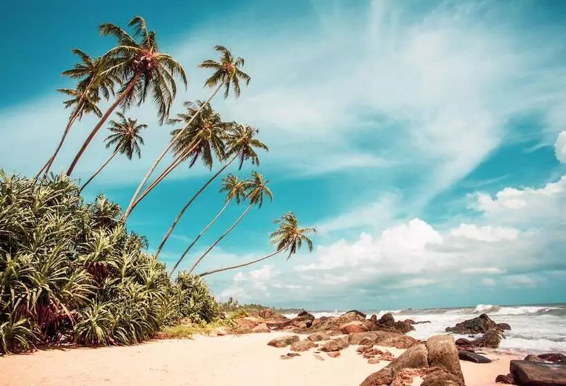 ホテル Bougainvilla