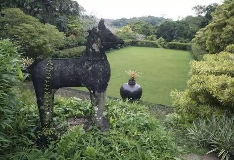 ホテル Bougainvilla