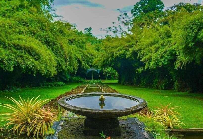 בית מלון כפרי Bougainvilla