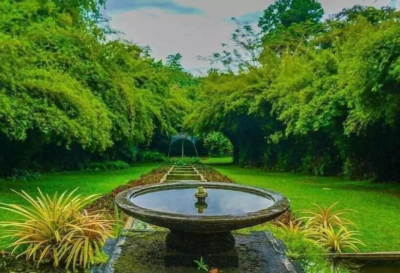 ホテル Bougainvilla