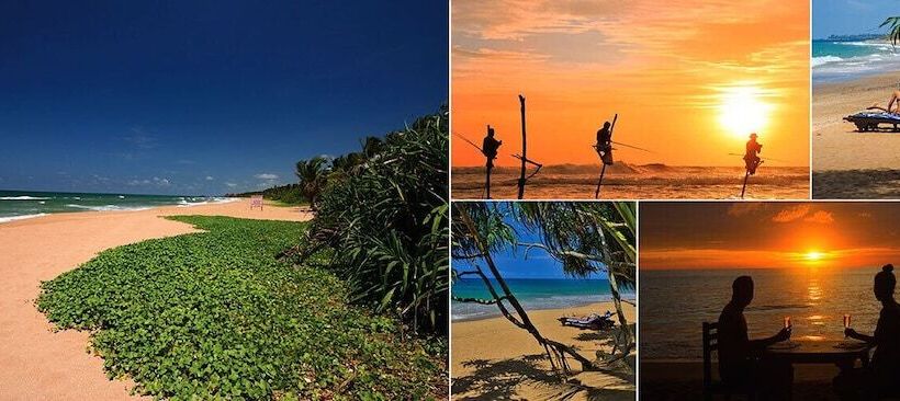 בית מלון כפרי Bougainvilla