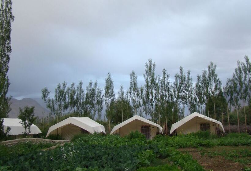 Hôtel Double Humped Camp Hunder