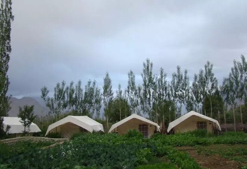 فندق Double Humped Camp Hunder