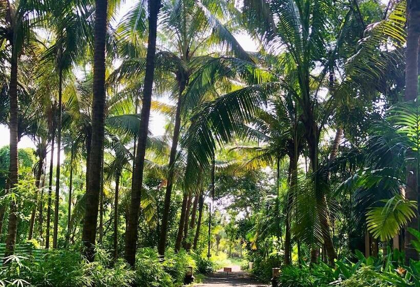 ホテル Mango Farm House Awas