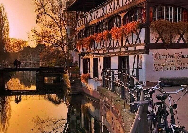 ホテル Pavillon Regent Petite France