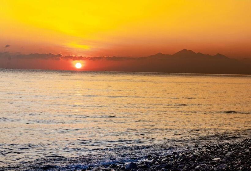 Отель Rising Star Dive Resort