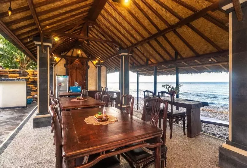 Otel Rising Star Dive Resort