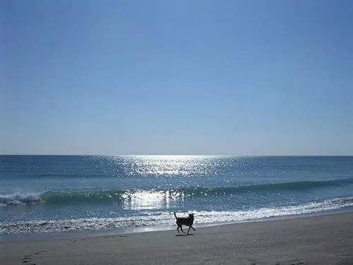 酒店 Seashells Penneshaw