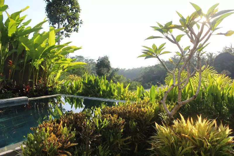 酒店 Senetan Villas And Spa Resort