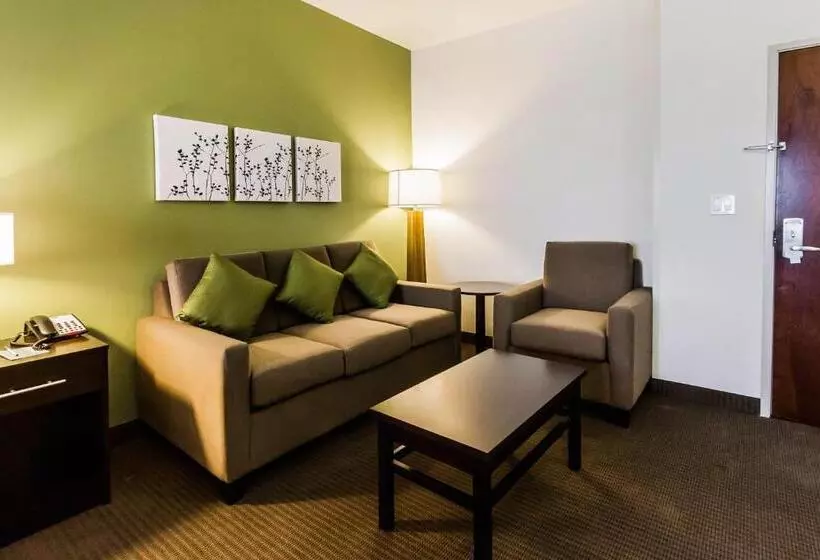 בית מלון כפרי Sleep Inn & Suites