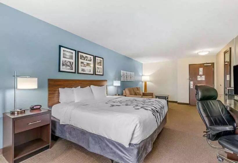 酒店 Sleep Inn & Suites Ames Near Isu Campus