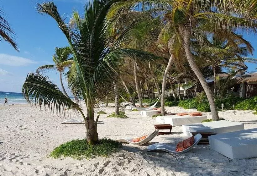هتل The Beach Tulum