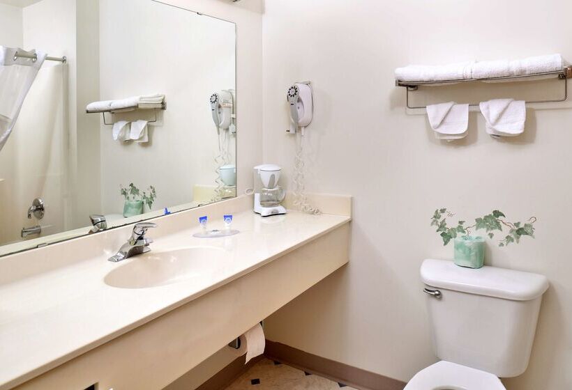 فندق على الطريق Americas Best Value Inn & Suites Spring Valley