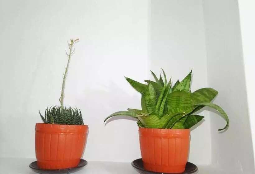 Пансион Avon Hikkaduwa Guest House