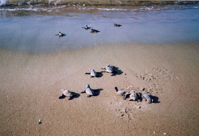 Antonios Village Hotel & Apartments