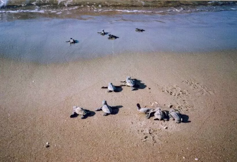 Antonios Village Hotel & Apartments