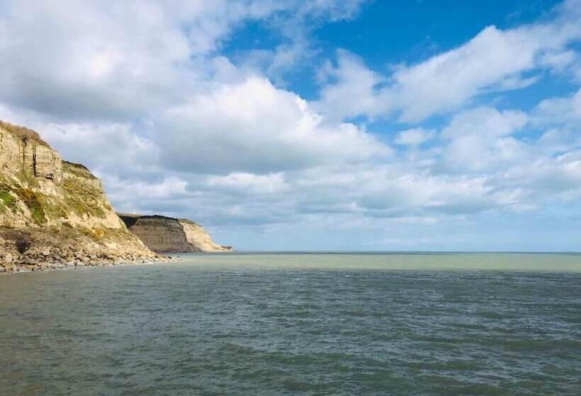 ベッドアンドブレックファースト Number 46