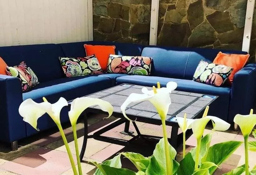 ベッドアンドブレックファースト Number 46