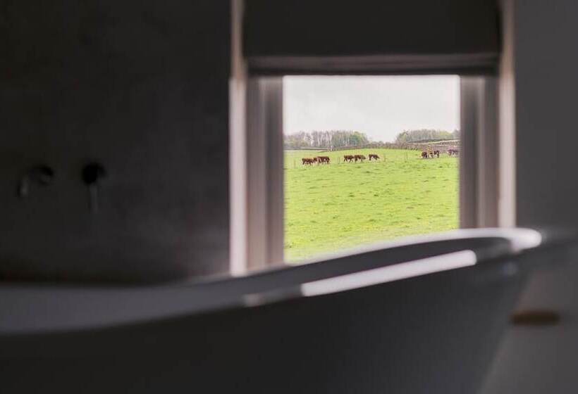 住宿加早餐  The Blind Bull