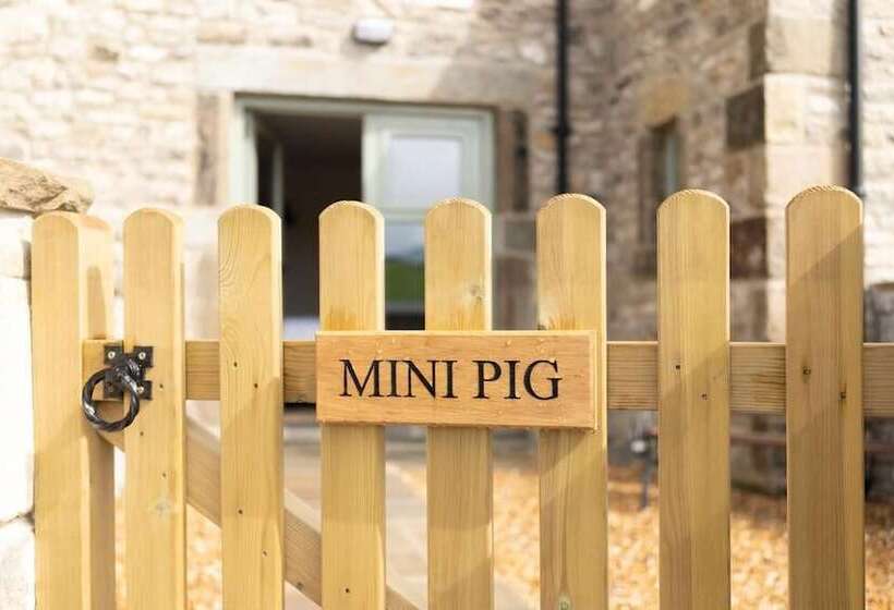 住宿加早餐  The Blind Bull