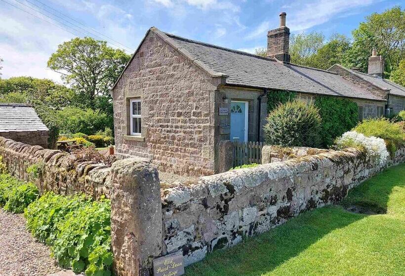 Cosy, Tranquil, Fully Equipped & Beautiful Garden