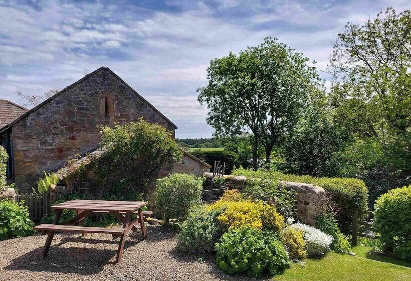 Cosy, Tranquil, Fully Equipped & Beautiful Garden