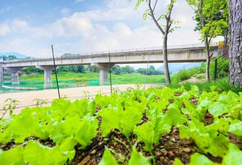 Goesan Morning Of Valley Pension