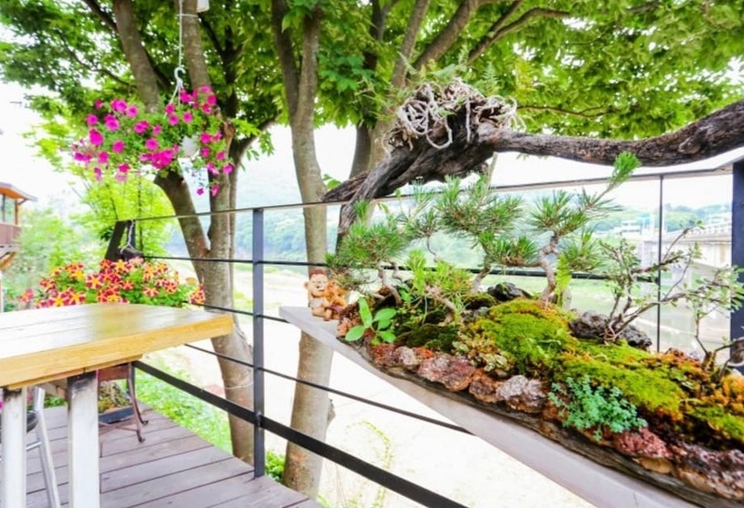 Goesan Morning Of Valley Pension