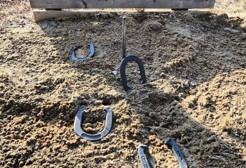 Hidden Forest Retreat