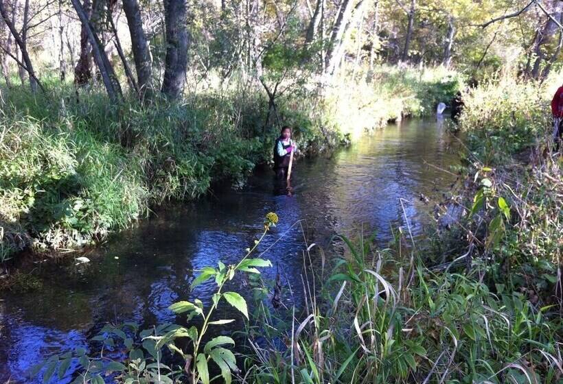 Hidden Forest Retreat