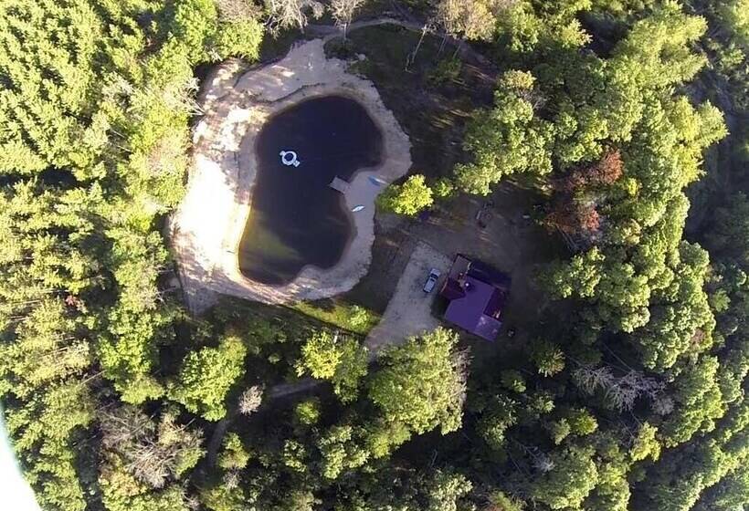 Hidden Forest Retreat