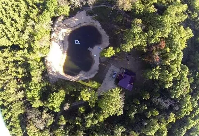 Hidden Forest Retreat