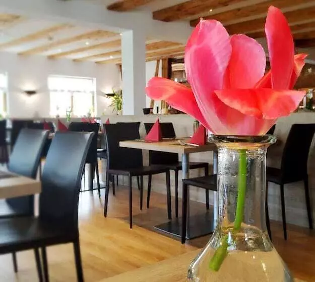 Hotelli Adler Ittendorf