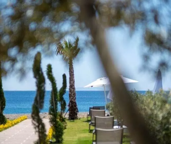 Hotelli Assos Troy Beach