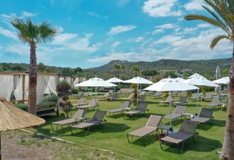 فندق Assos Troy Beach