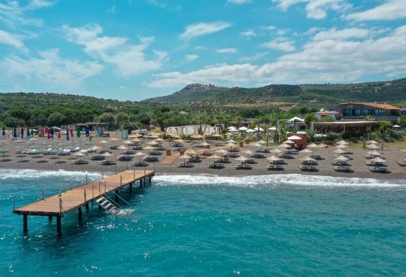 فندق Assos Troy Beach