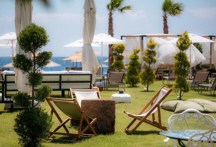 فندق Assos Troy Beach