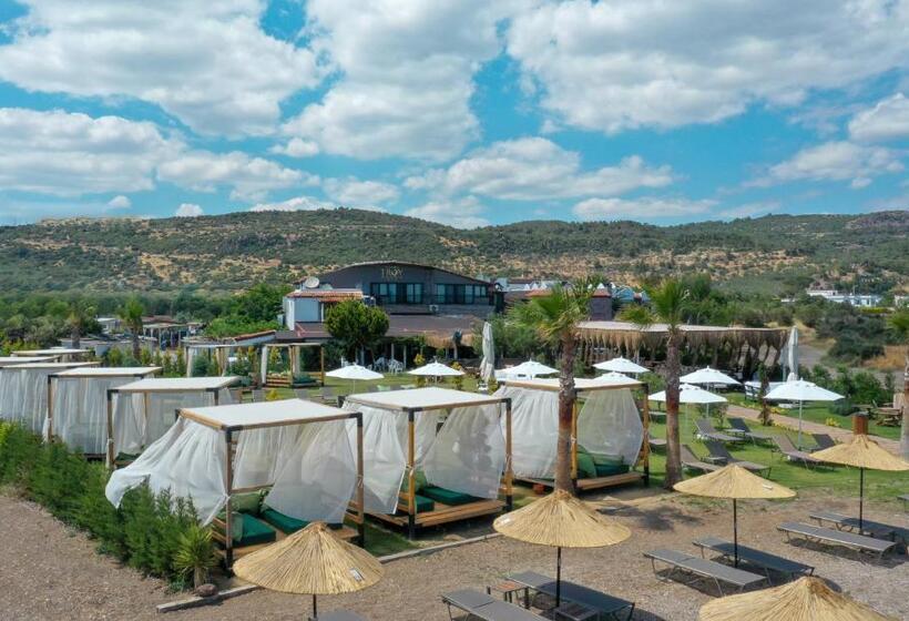 فندق Assos Troy Beach