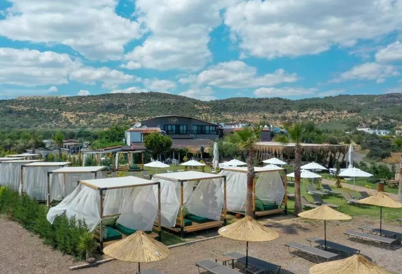 Hotelli Assos Troy Beach