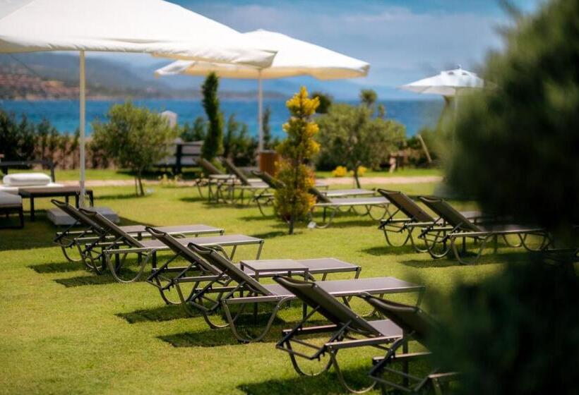 فندق Assos Troy Beach