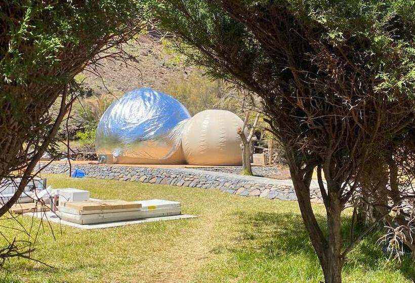 Отель Bahía De ávalos