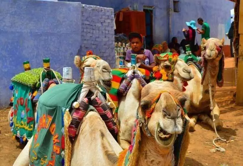 هتل Luxor Nile Cruises