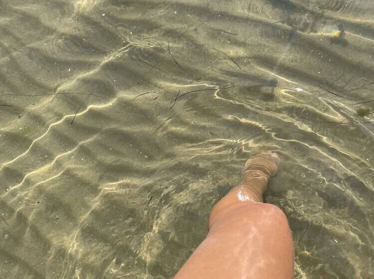 בית מלון כפרי Marty S Beachfront Apartments