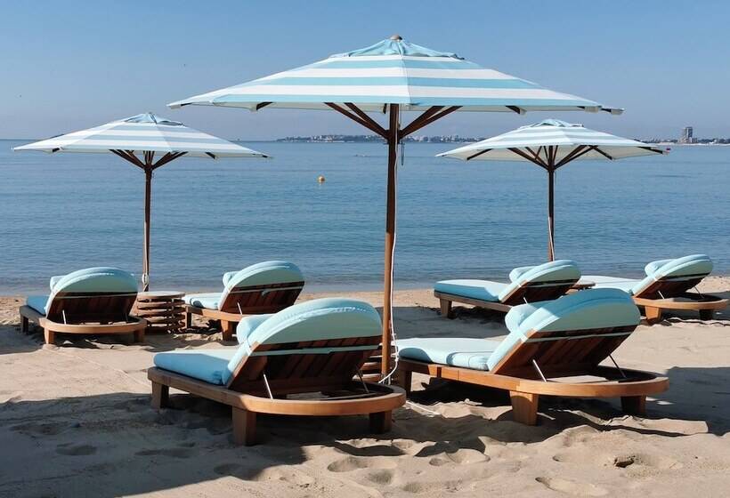 בית מלון כפרי Marty S Beachfront Apartments