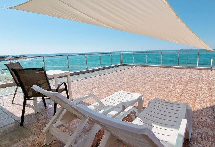 בית מלון כפרי Marty S Beachfront Apartments