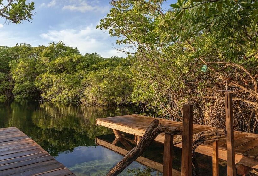 Hotelli Yaxchen Tulum Cabanas & Cenote